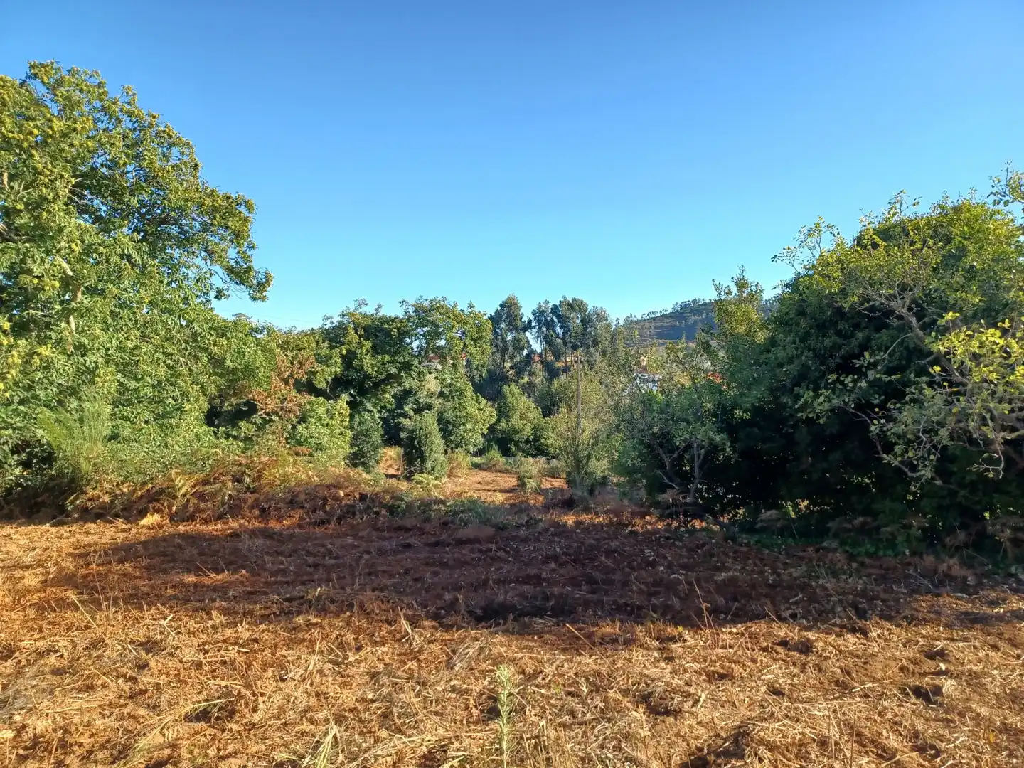 Terrenys i solars en venda a La Esperanza - Llano del Moro, imagen 11