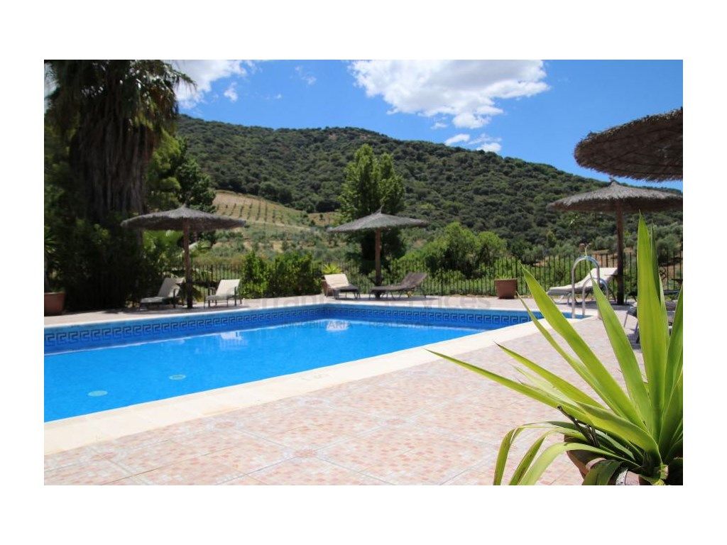 Swimming pool of Building for sale in Benaoján