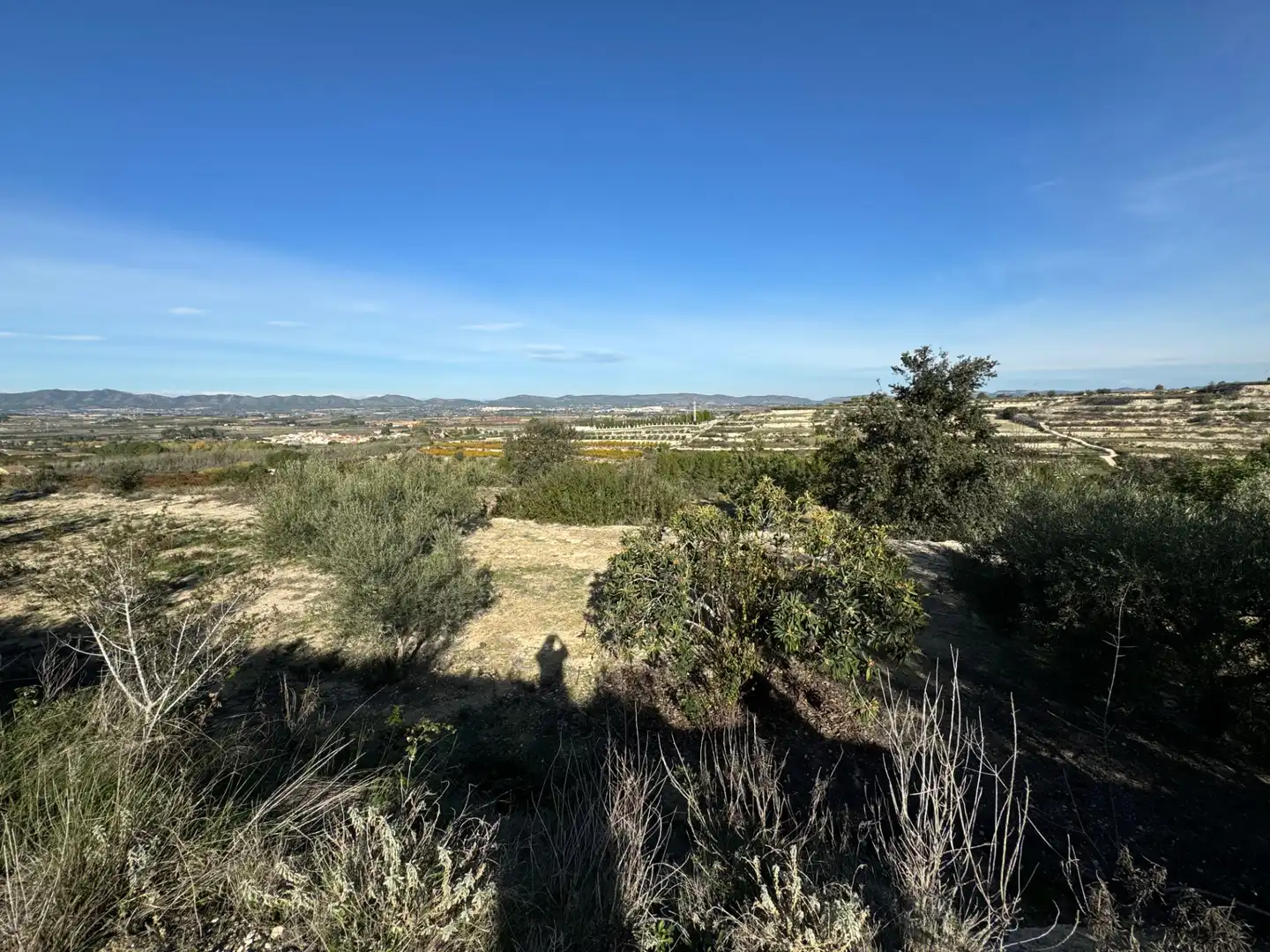 Finca rústica en venda en El Palomar amb Jardí privat, Terrassa i Traster