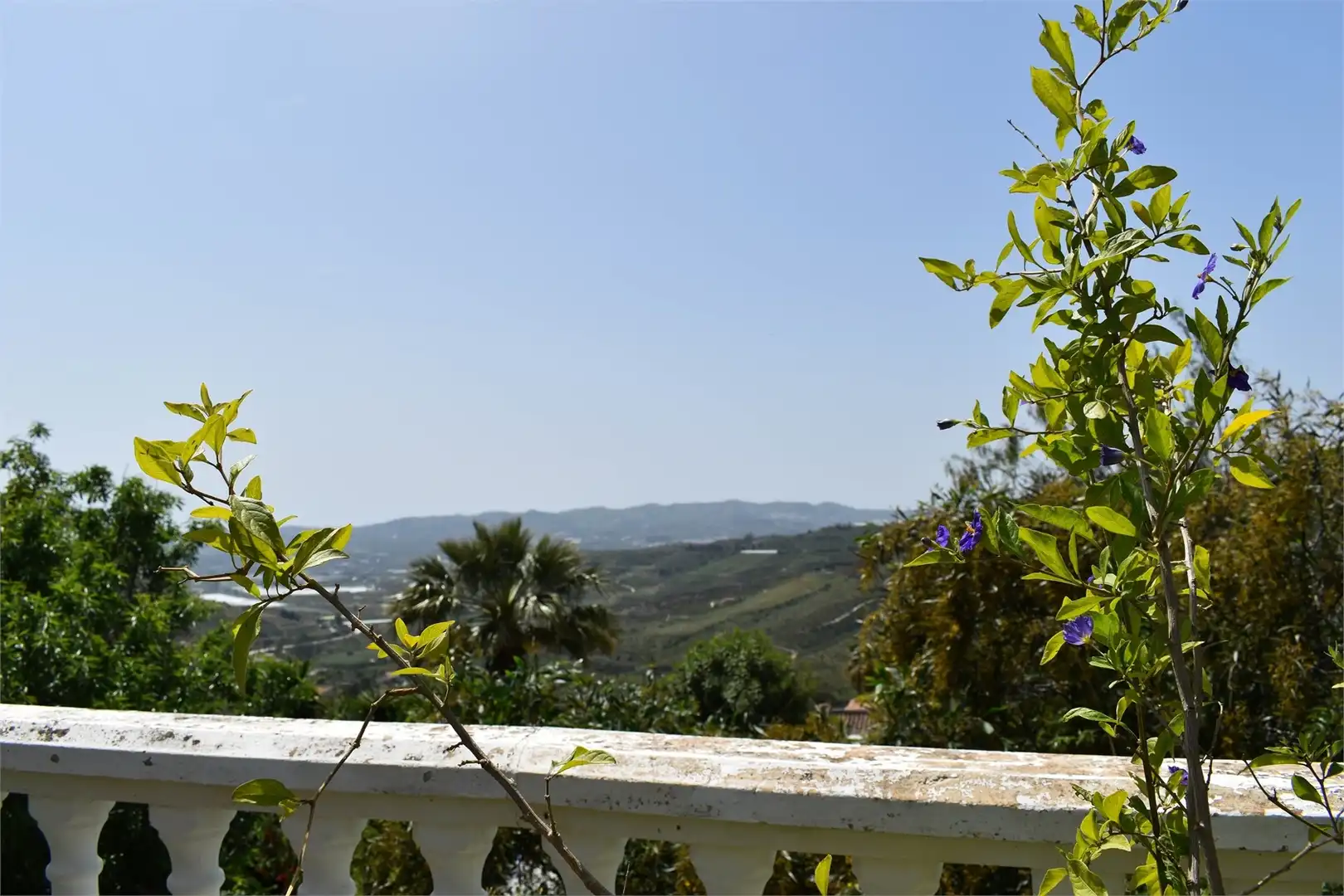 Maison avec piscine à vendre à N/A, imagen 5