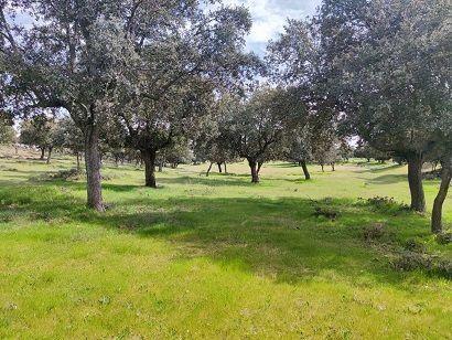 Foto 1 de Finca rústica en venda a Maello, Ávila