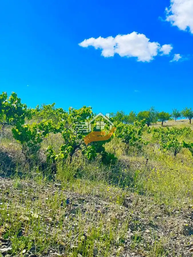 Residential land for sale in Vélez-Rubio, imagen 20