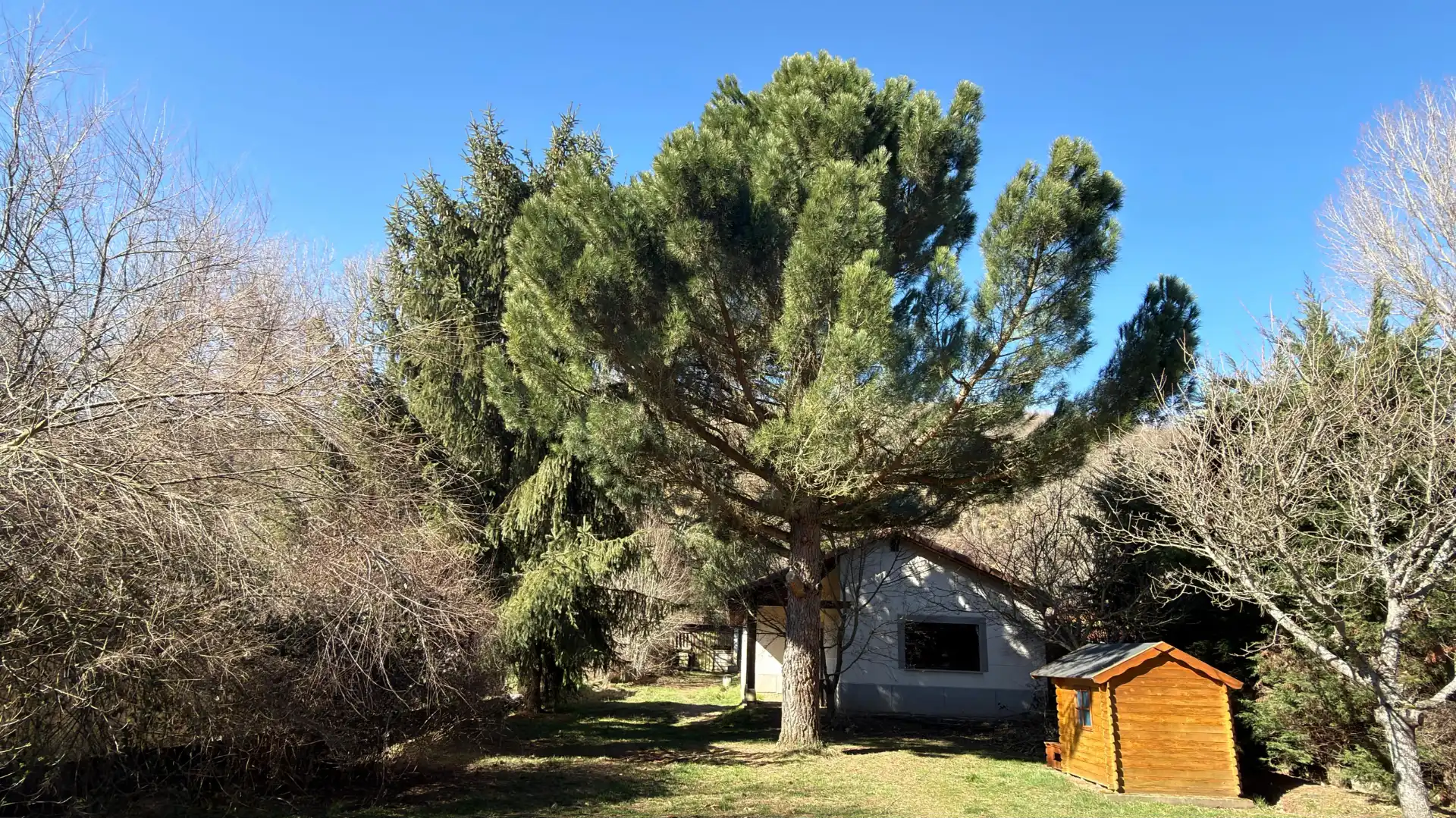Jardí de Casa o xalet en venda en Garrafe de Torío amb Jardí privat i Traster
