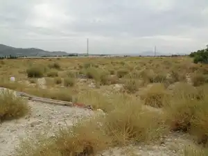 Terreny rústic en venda a Partida Sol del Camp, imagen 9