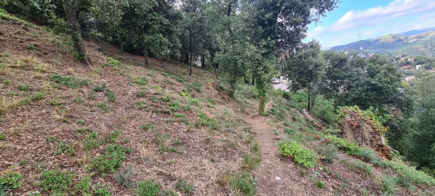 Residential land for sale in El Racó - Sant Feliu del Racó, imagen 5