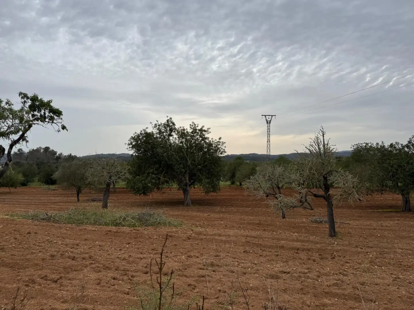 Rustikales Grundstück zum Verkauf in Camino Camí Vell de Porreres 2, imagen 17