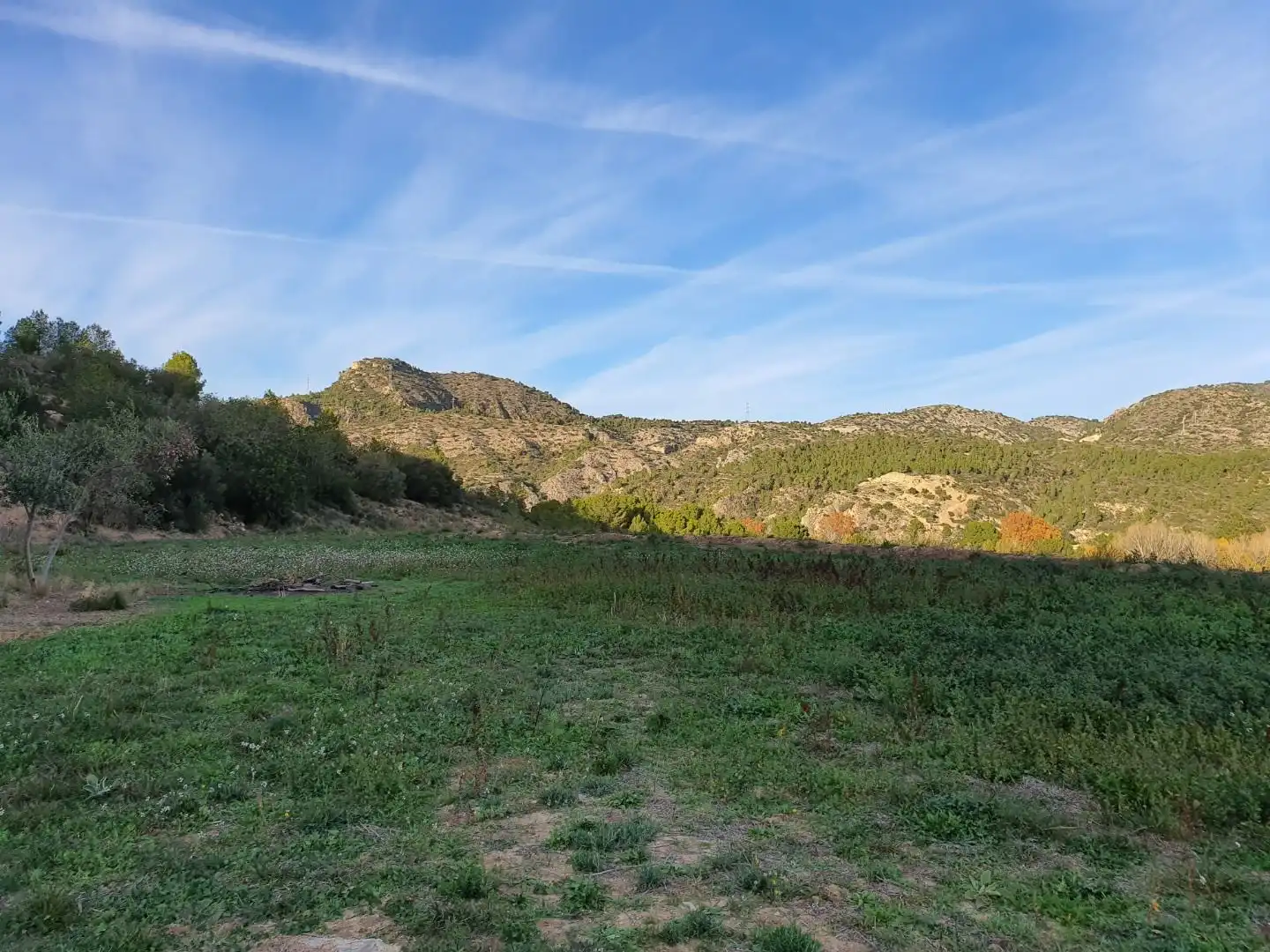 Terrain résidentiel à vendre à Xerta, imagen 2