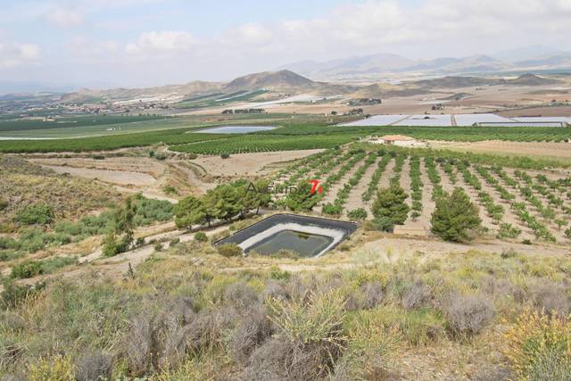 Terreno en Venta en Escucha