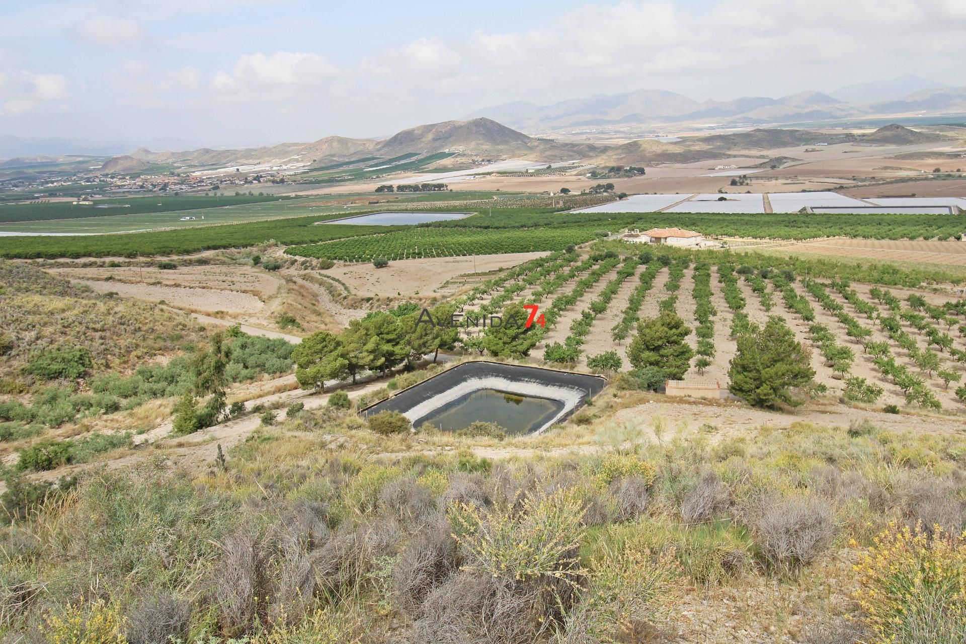 Land for sale in Lorca