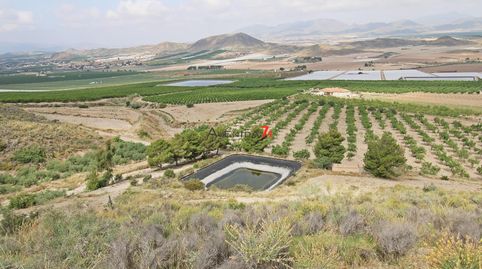 TERRENO RUSTICO DE 50.000 m2 EN LORCA  REF 371