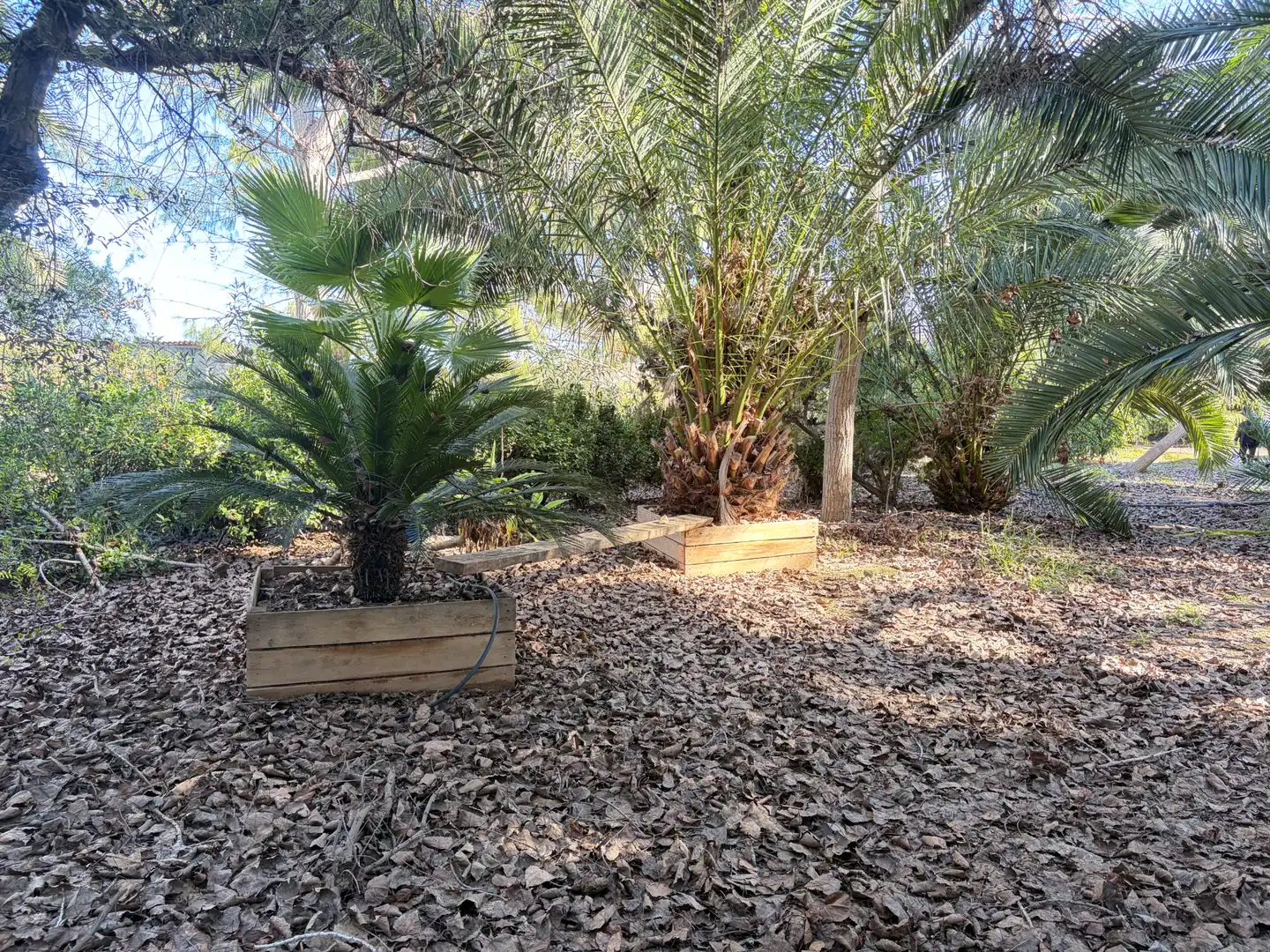 Lands and plots for sale in Abanilla, imagen 18