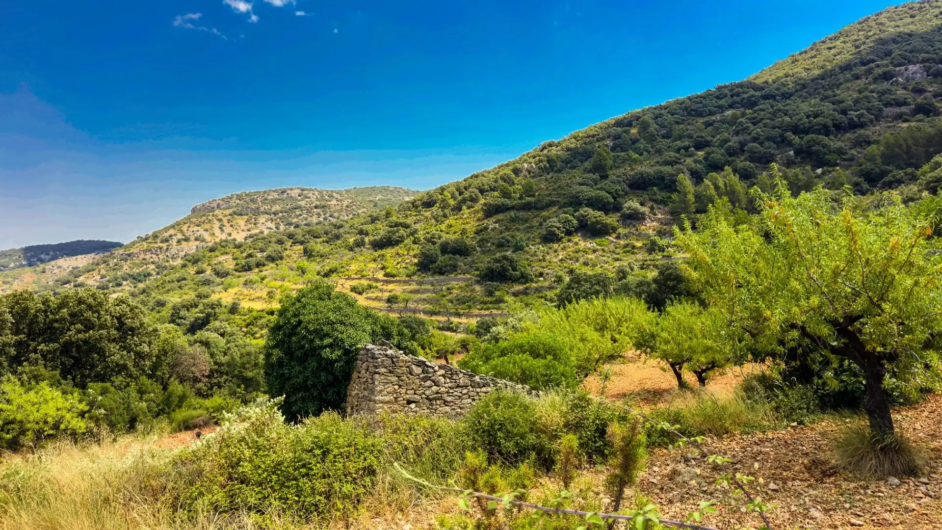 Residencial en venta en Sierra Engarcerán