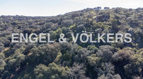 Photo 3 of Country house for sale in Cazalla de la Sierra, Sevilla