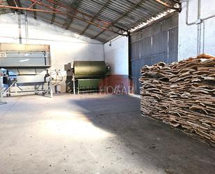 Nau industrial en venda en Machacón