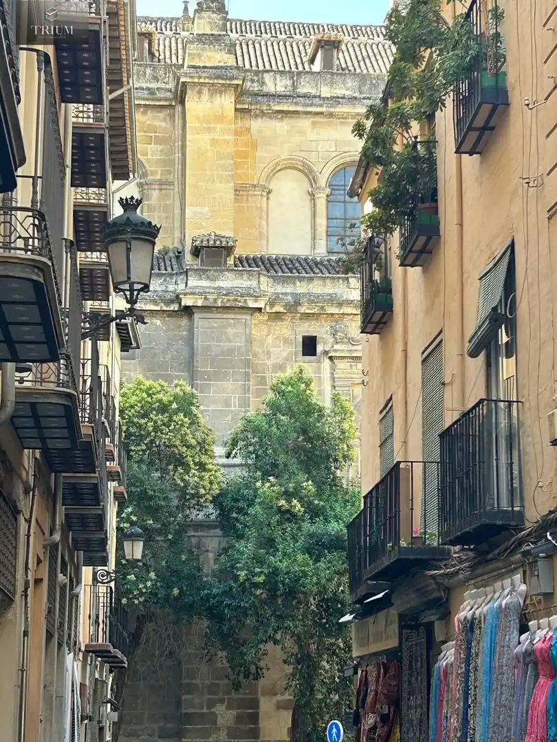 Vista exterior de Apartament de lloguer en Granada amb Traster, Moblat i Balcó