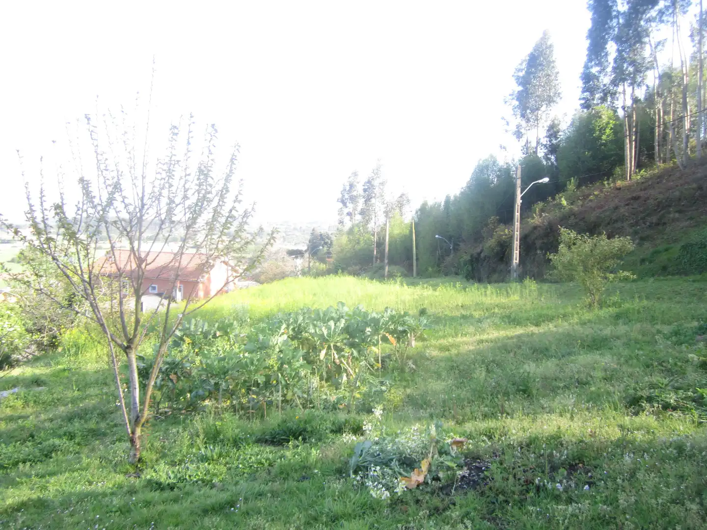 Casa amb jardí en venda a Área Rural, imagen 26