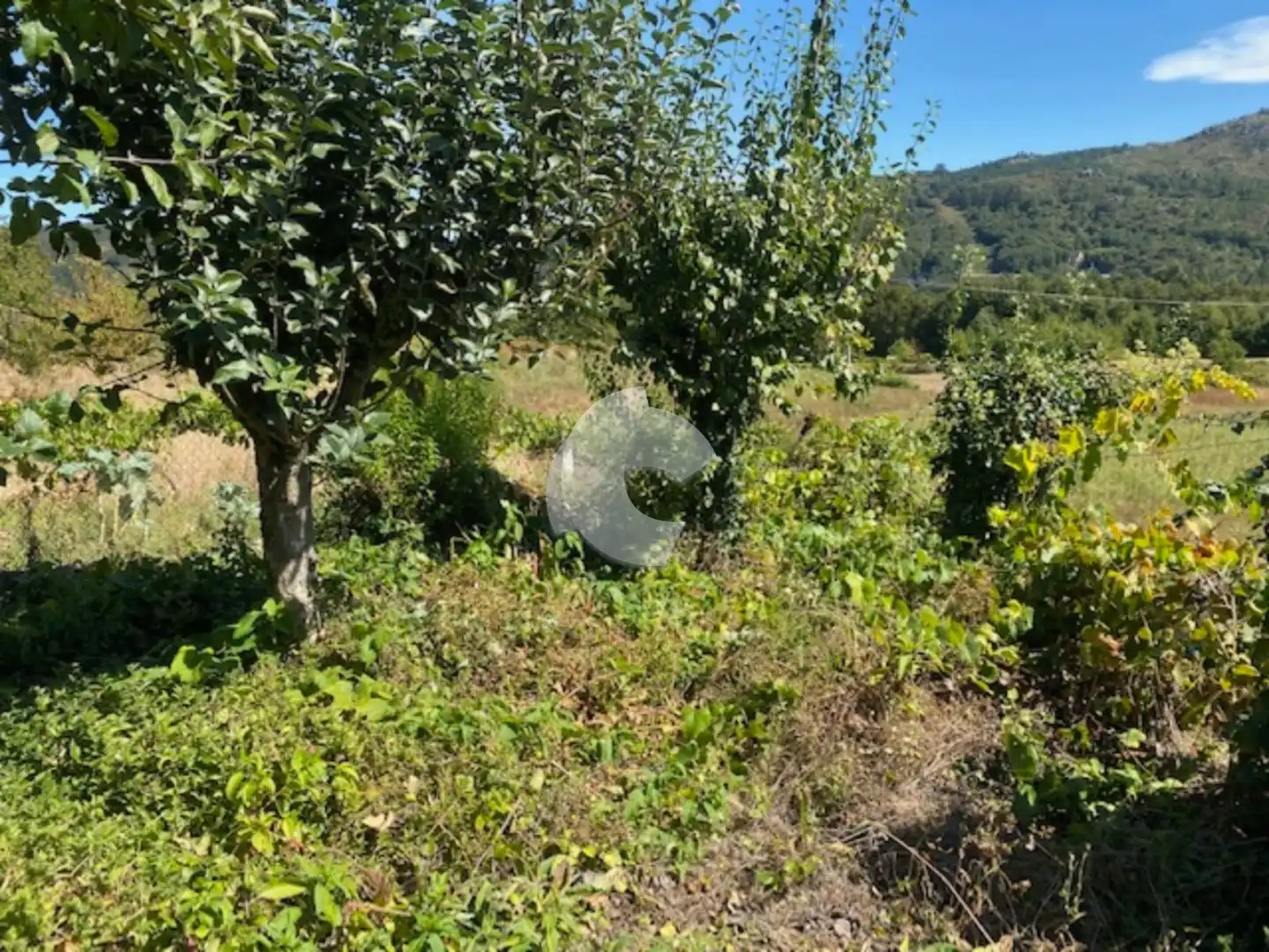 Adossat amb jardí en venda a Lobios, imagen 4