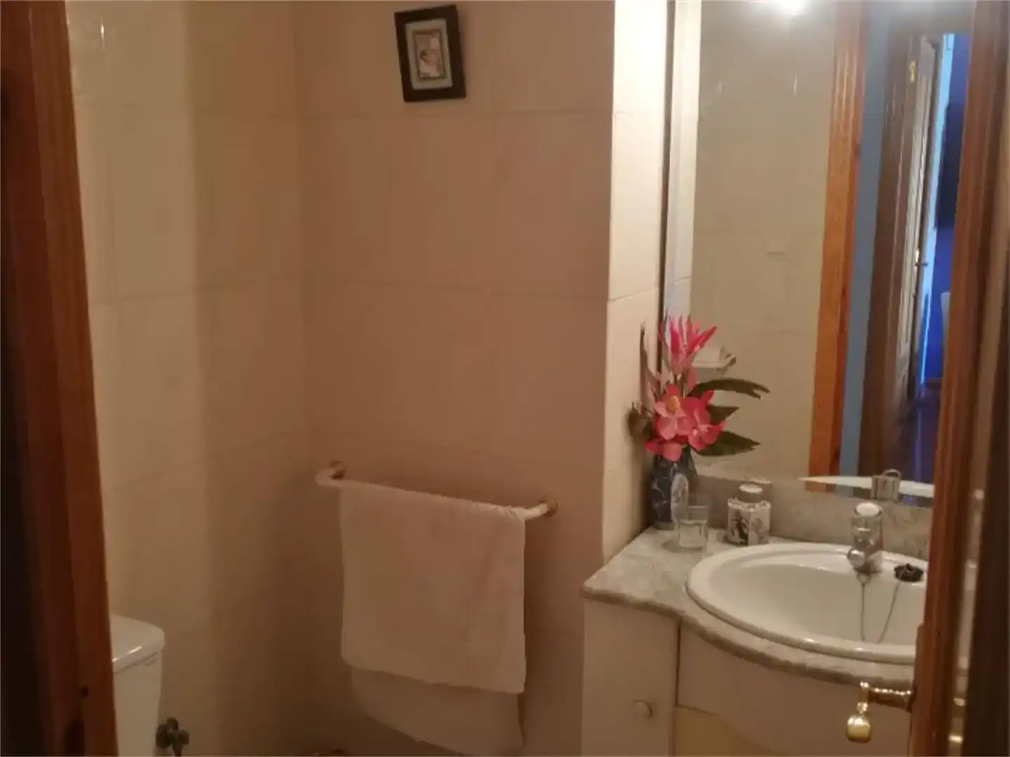 Baño de Planta baja en venta en Casas-Ibáñez con Amueblado y Balcón