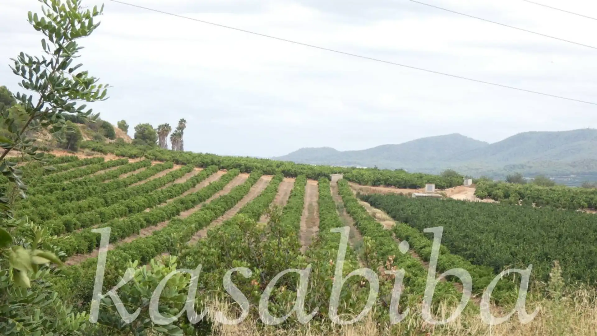 Terreno en venta en Poligono 9 Y PARCELA