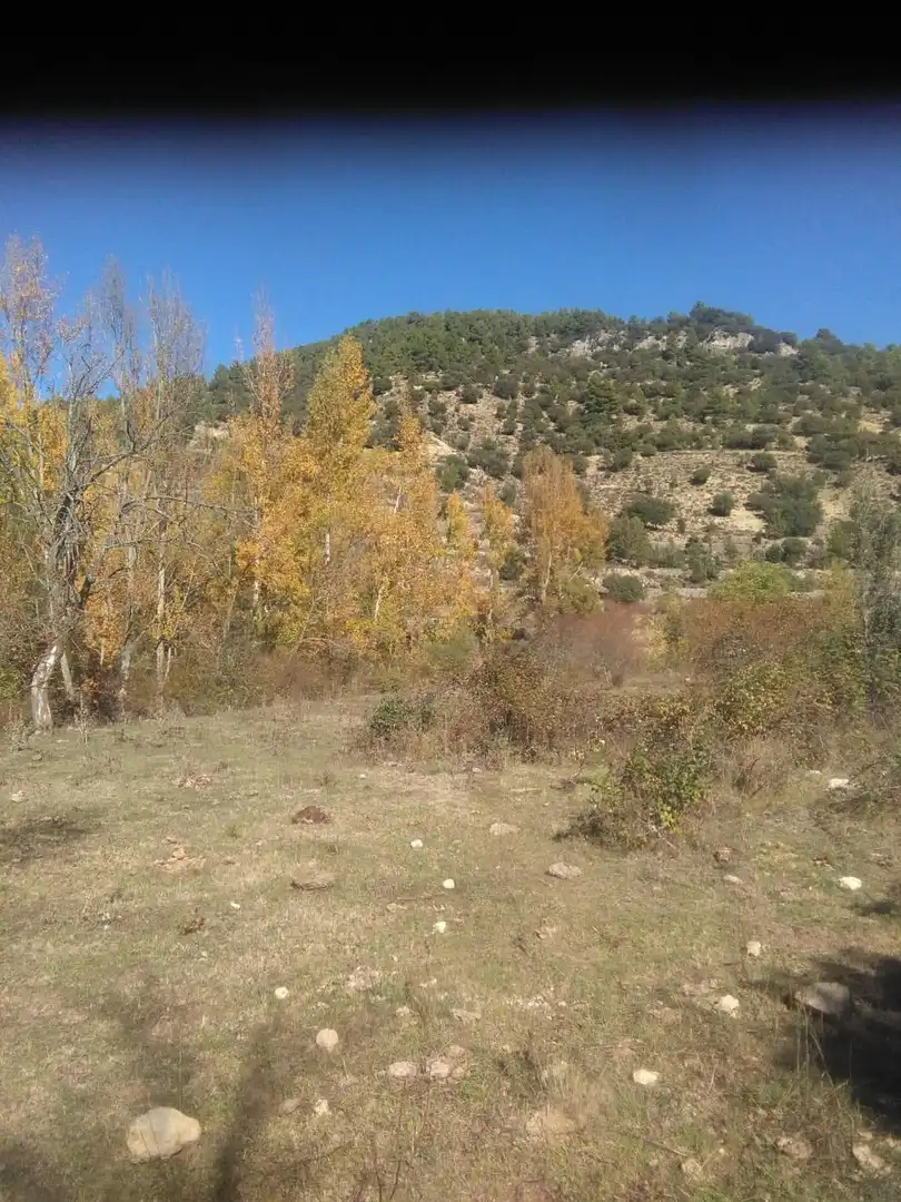 Houses for sale in Morella  with Storage room
