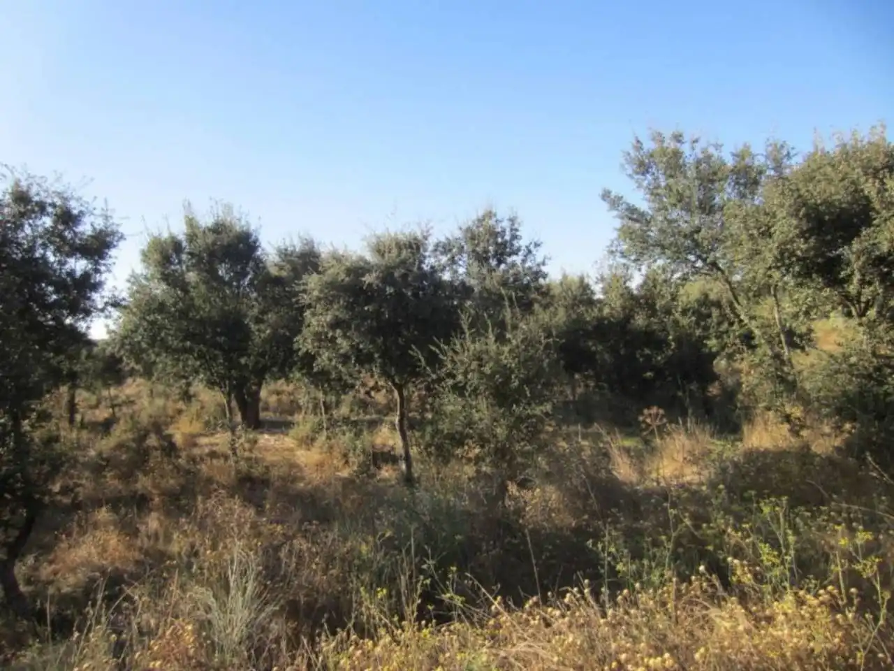 Terreno residencial en venta en Poligono 14, imagen 13
