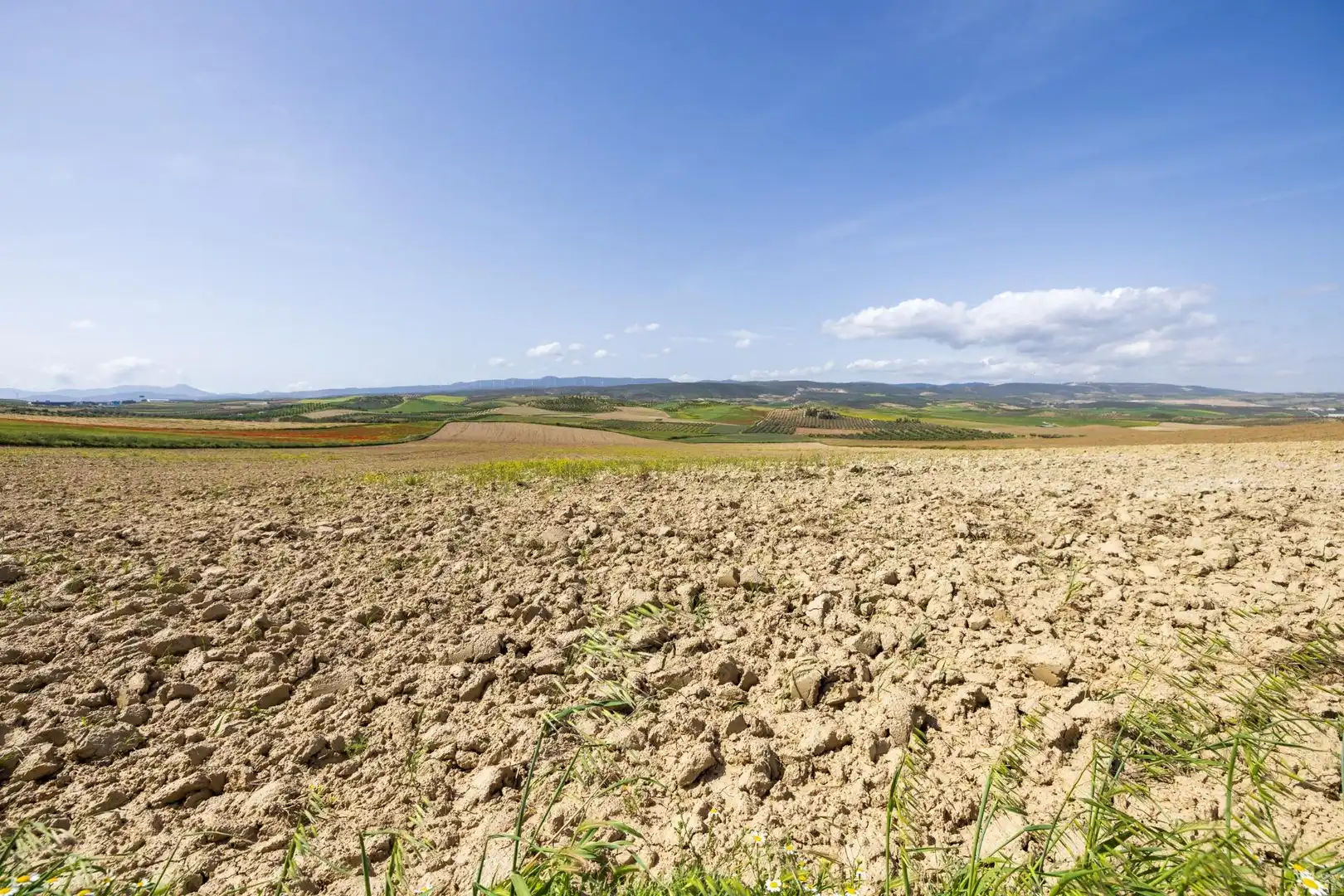Lands and plots for sale in Otura 6, imagen 20