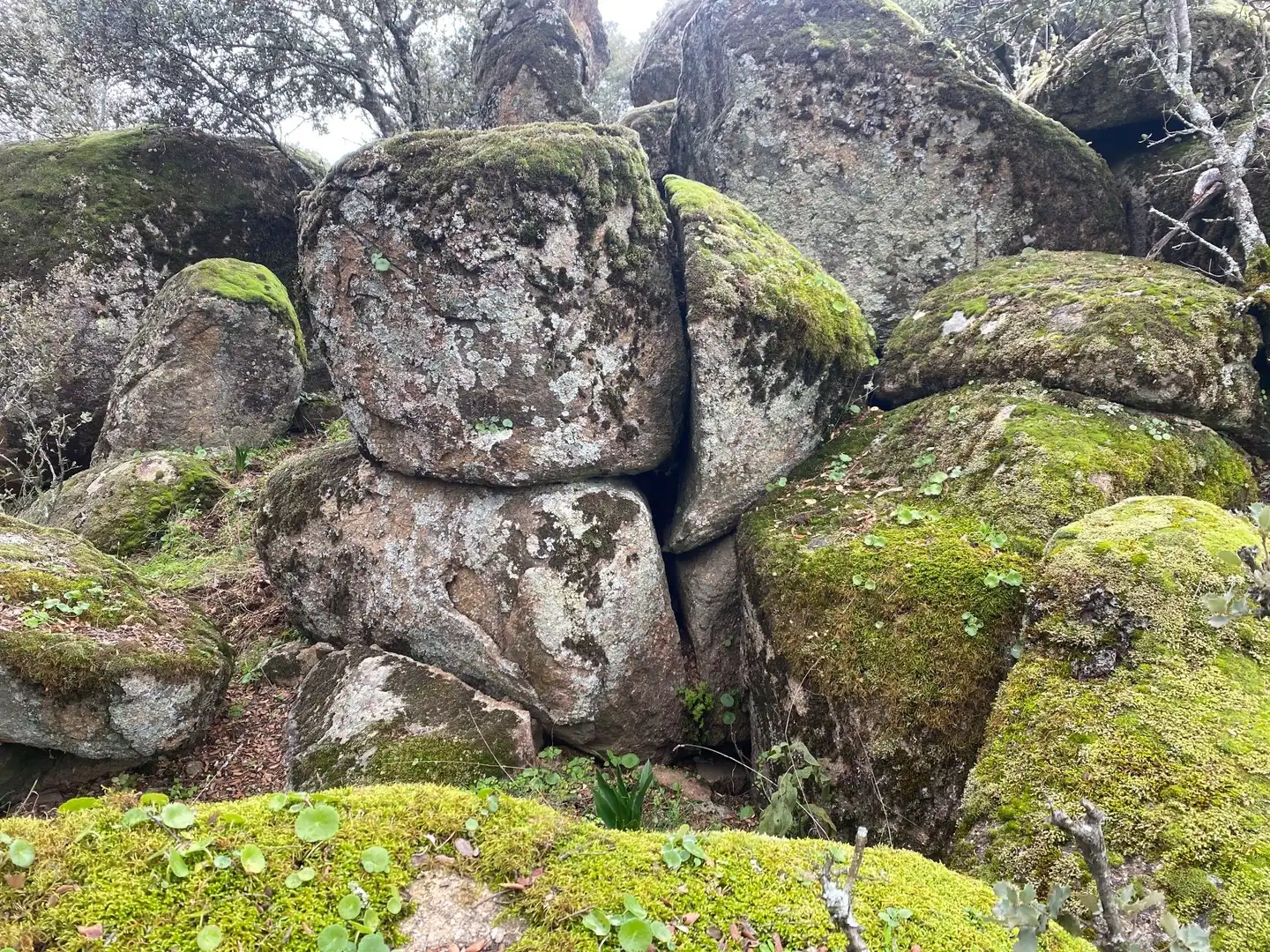 Terreni e lotti in vendita a Navamorcuende, imagen 17