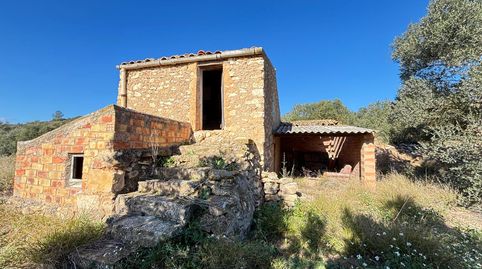 Se vende finca rústica situada en el municipio de Flix