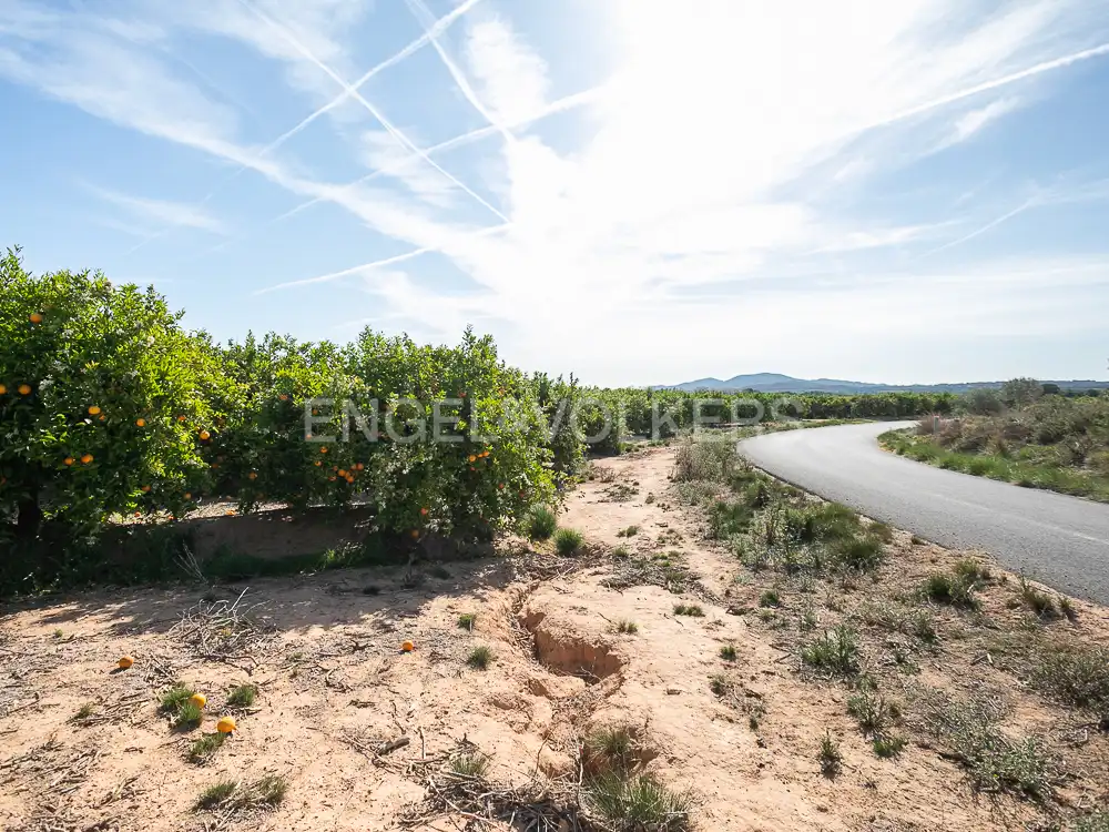 Terrenos y solares en venta en Pedralba, imagen 4