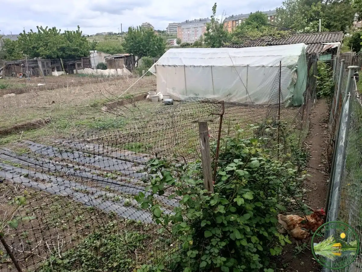 Finca rústica en venta en Ponferrada