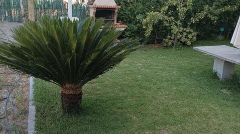 Foto 3 de Casa o chalet en venta en Reboredo, San Cibrao das Viñas, Ourense