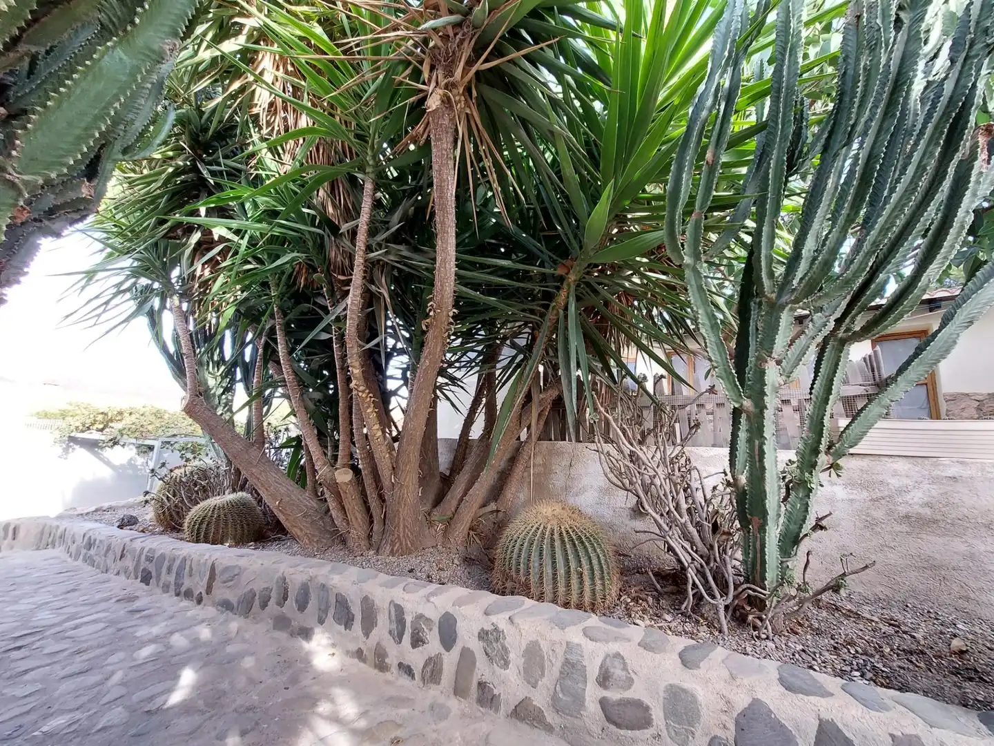 Casa rustica con piscina in vendita a Tébar - Los Arejos, imagen 71