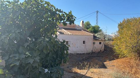 Foto 4 de Finca rústica en venta en Ds Diseminados 447 el Tajo el Mochuelo 29239 Almog, Almogía, Málaga