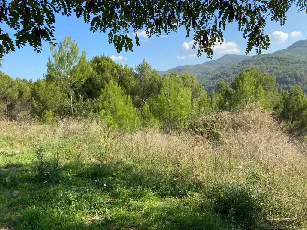 Wohnbaugrundstück zum Verkauf in Súria, imagen 6