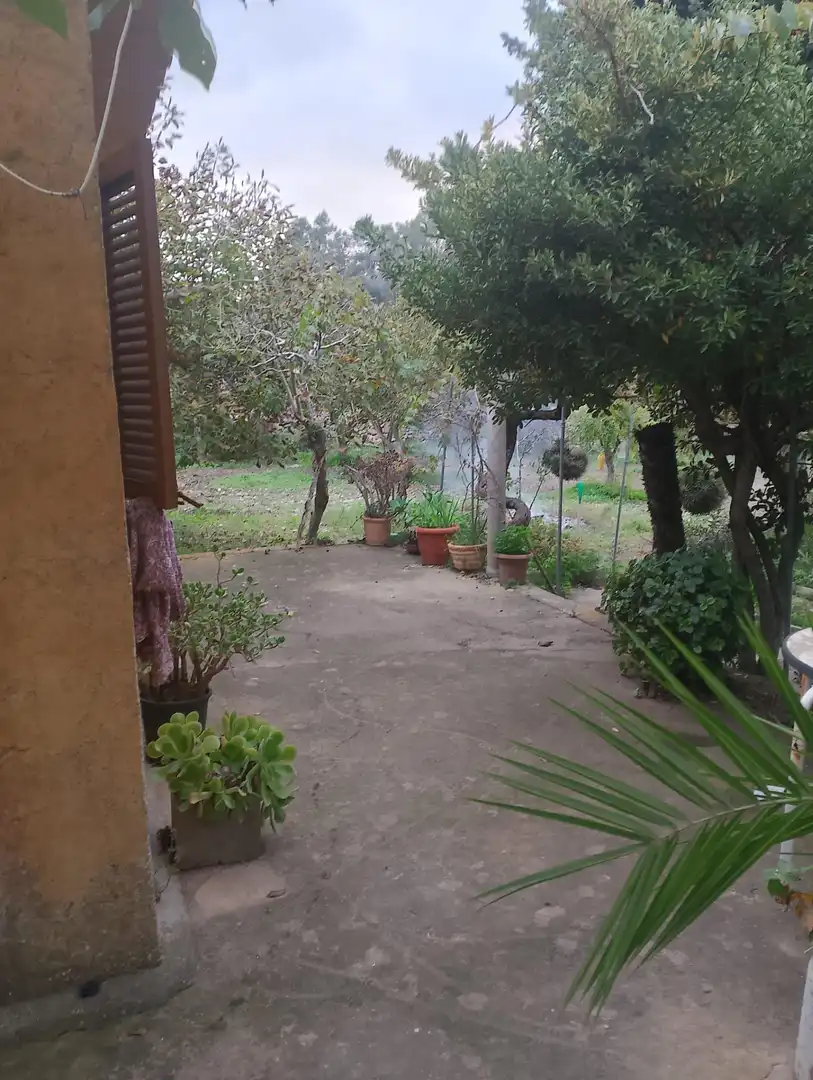 Jardín de Casa o chalet en venta en Felanitx