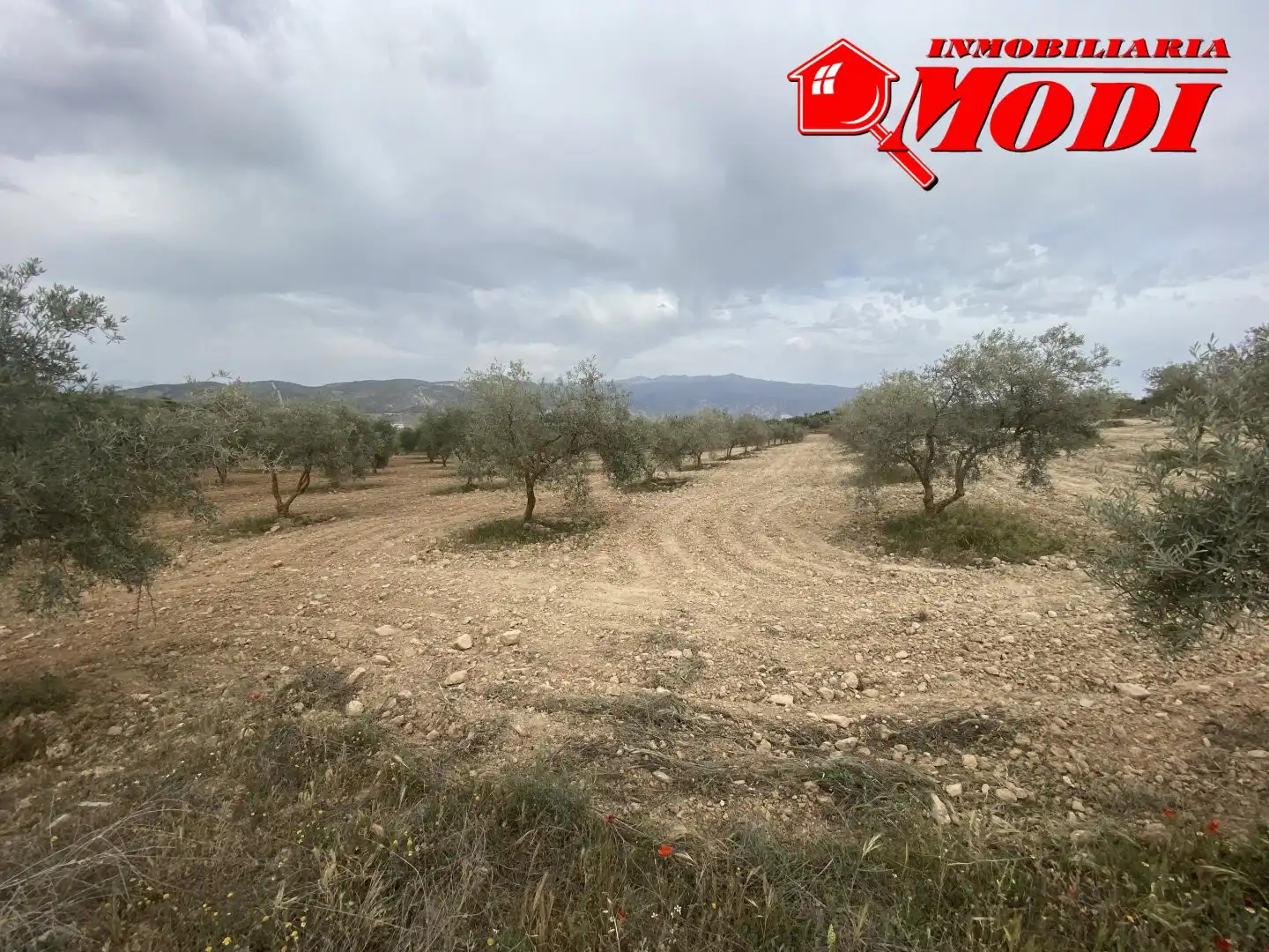 Terrenys i solars en venda a Padul, imagen 18