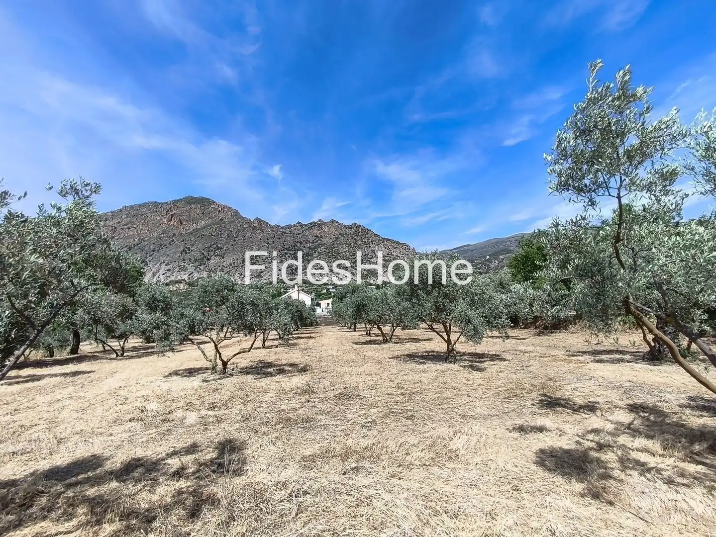 Rural land for sale in XFJ3+526 Nigüelas 0, imagen 31