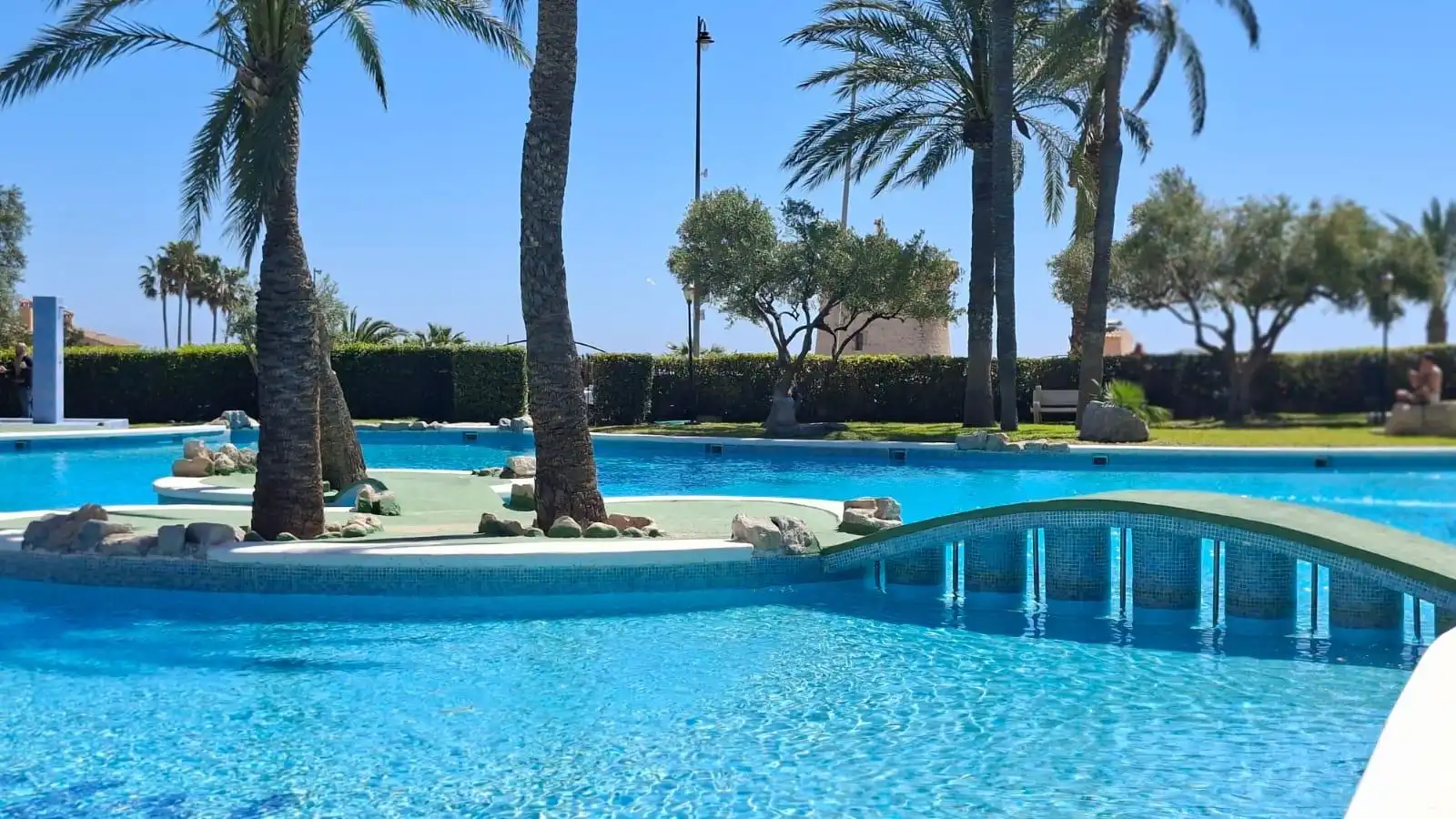 Swimming pool of Apartments for sale in El Campello  with Air Conditioner, Heating and Private garden
