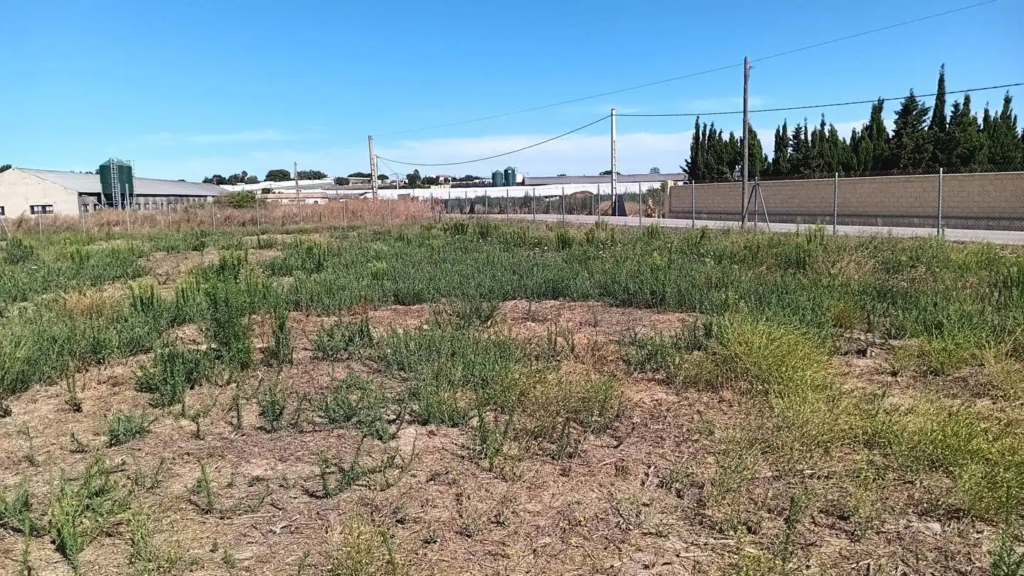 Terreni e lotti in vendita a Los Llanos, imagen 6