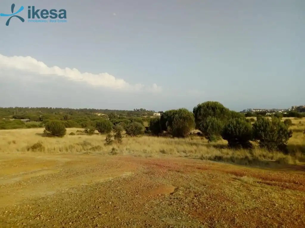 Lands and plots for sale in Lepe, imagen 3