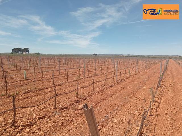 Finca rústica en Venta en Torrenueva