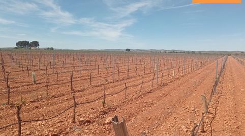 Finca Rúst. en venta en Carretera Santa Cruz.