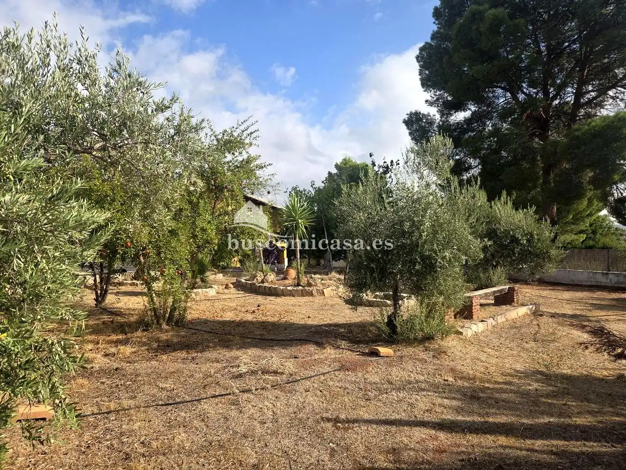 Casa o xalet en venda en Puente Tablas - Puente Nuevo - Cerro Molina