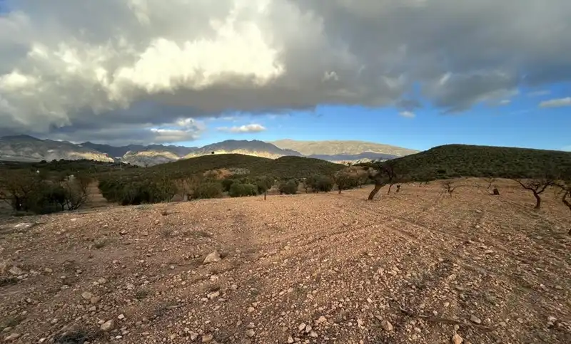 Terreny rústic en venda a Villamena, imagen 4