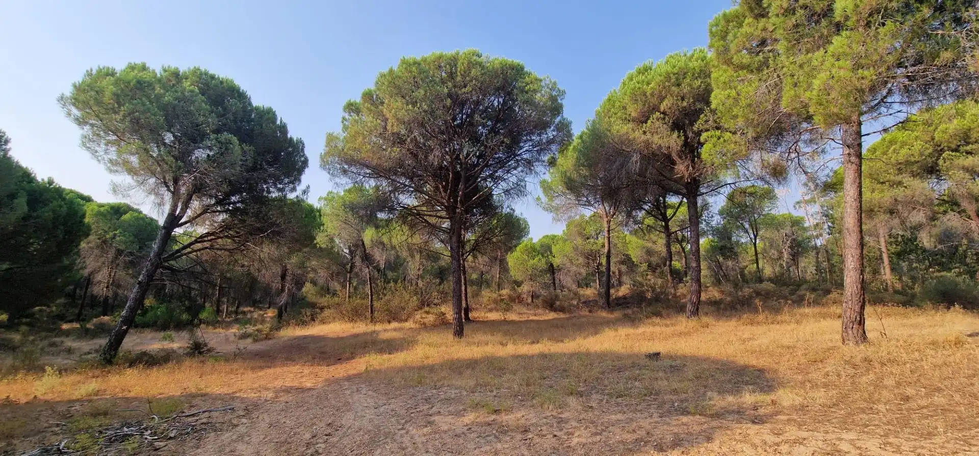 Terreno en venta en Villablanca
