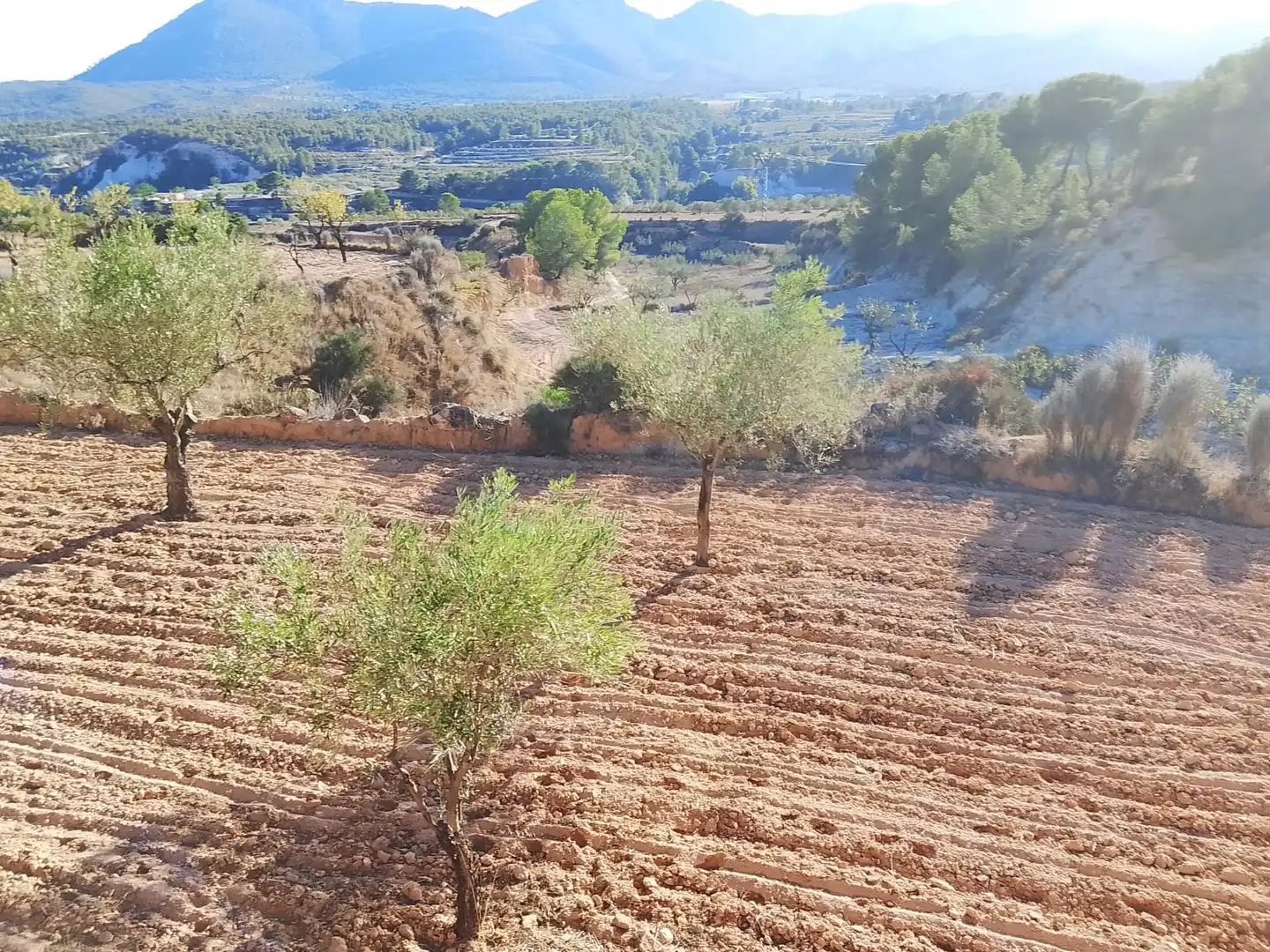 Terreny rústic en venda a Tibi, imagen 4
