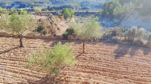 Venta de finca rustica para construir una vivienda unifamiliar u organizar un proyecto turístico, immagine 4
