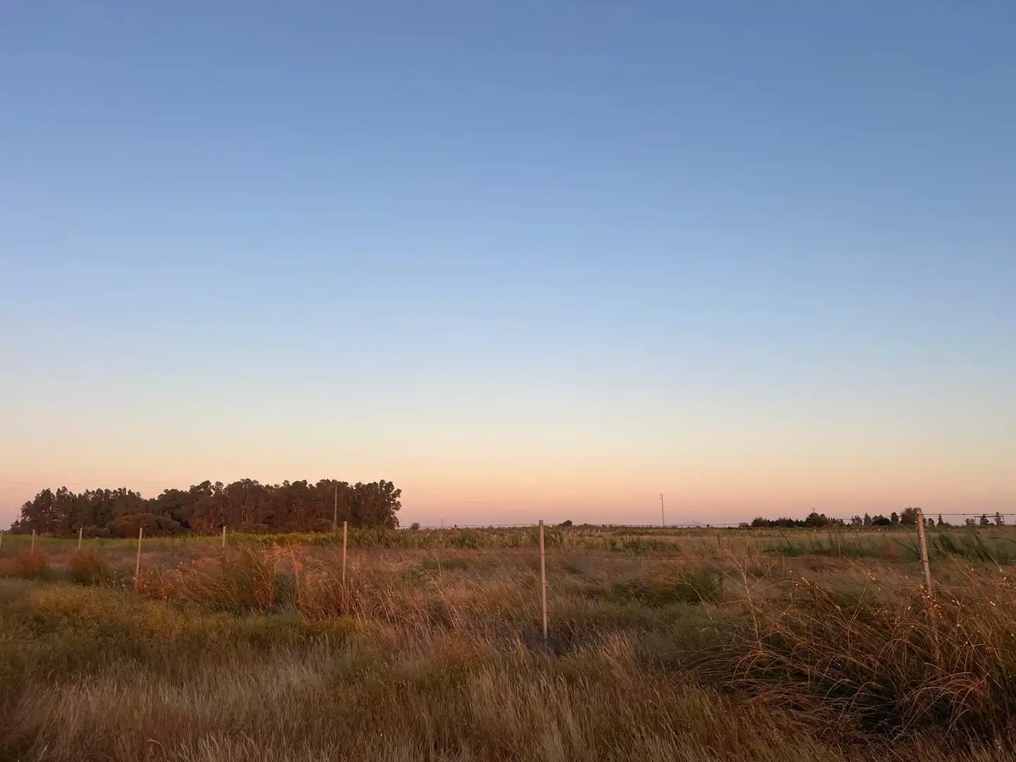 Terreny rústic en venda a Pedanías Norte, imagen 9