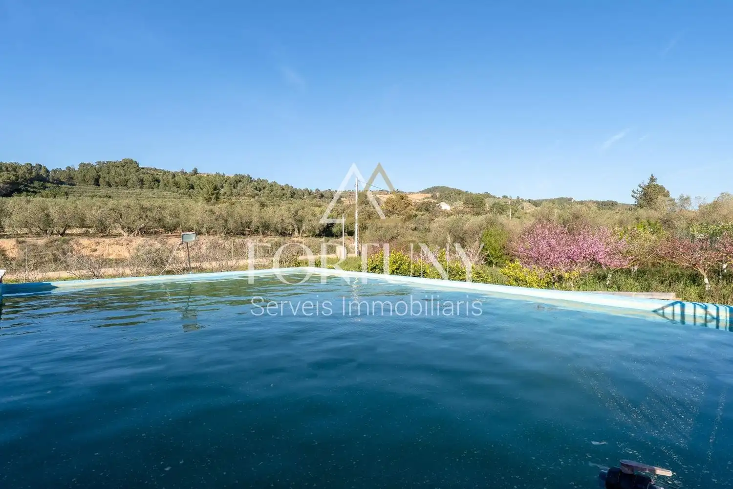 Piscina de Casa o xalet en venda en L'Aleixar