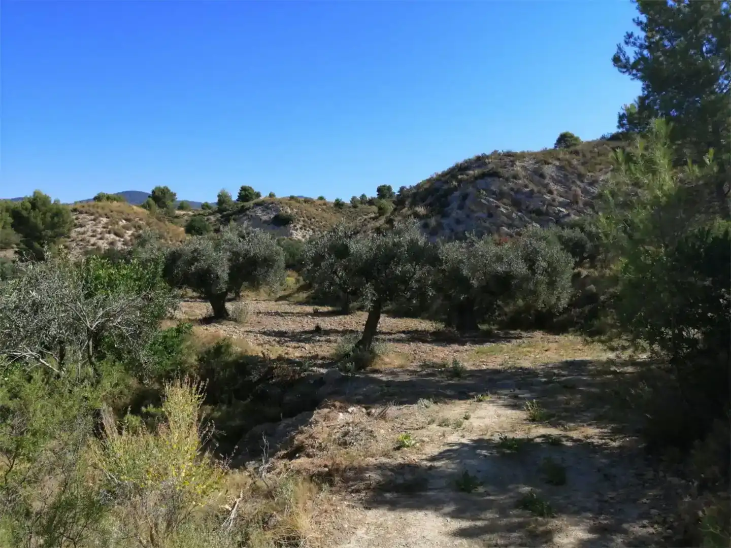 Terreno en venta en Busot